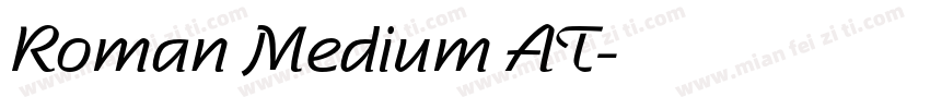 Roman Medium AT字体转换